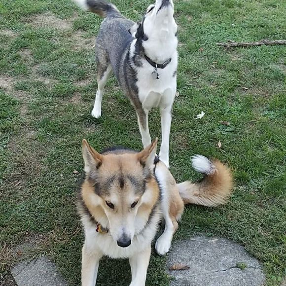 Meet your Posher, Matthew - Picture 1 of 1